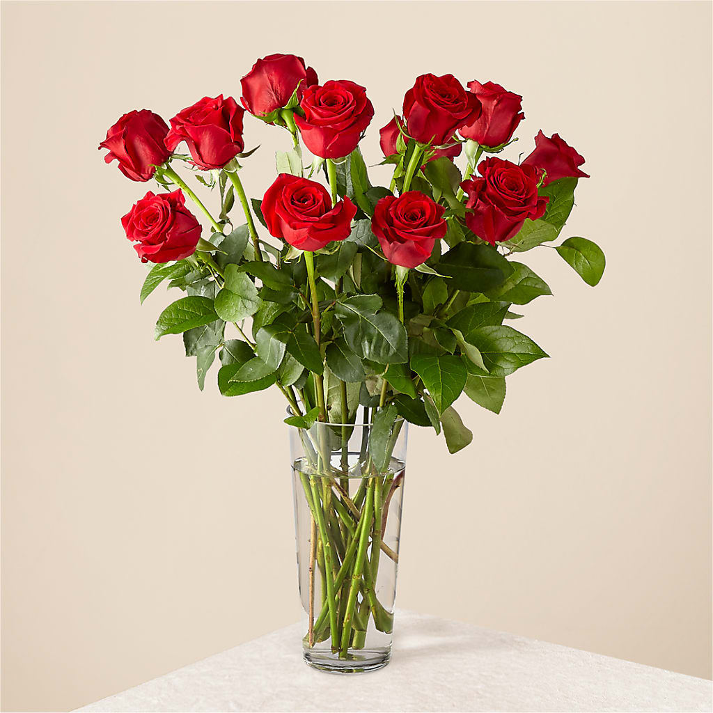 Long Stem Red Rose Bouquet – Flowerland, Sioux City IA