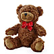 Adorable Plush Bear – Flowerland, Sioux City IA