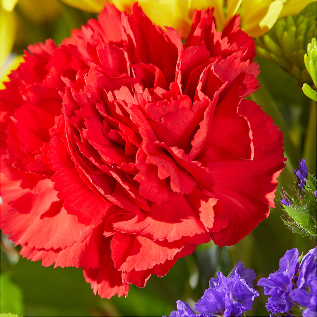 Brighter Days Bouquet –  Flowerland, Sioux City IA