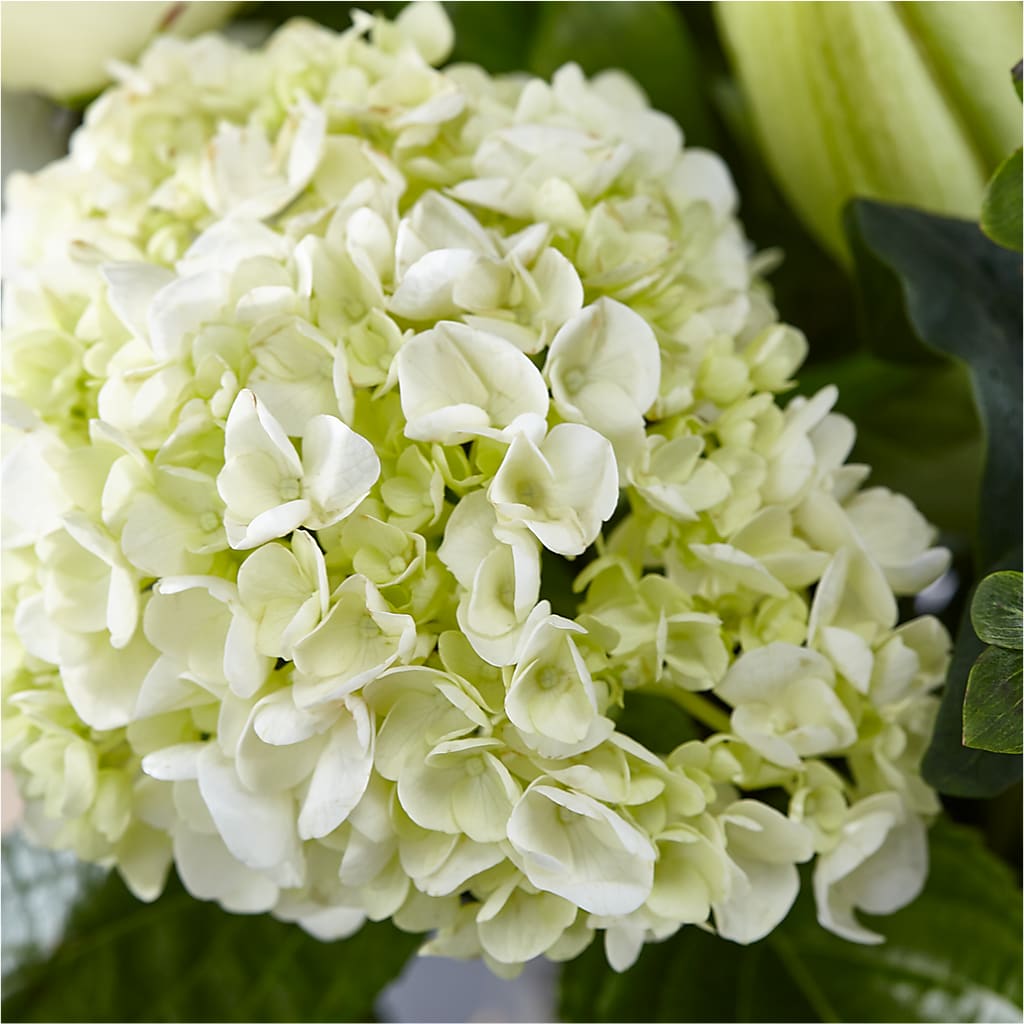Classic Ivory – A Florist Original –  Flowerland, Sioux City IA