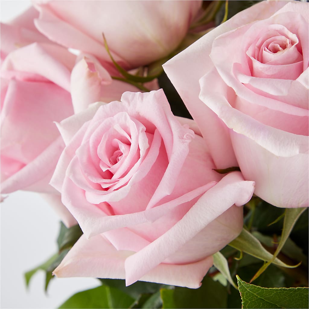 Picture Perfect Pink Rose Bouquet –  Flowerland, Sioux City IA