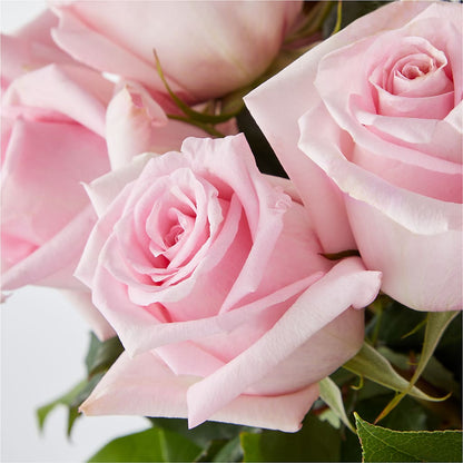 Picture Perfect Pink Rose Bouquet –  Flowerland, Sioux City IA