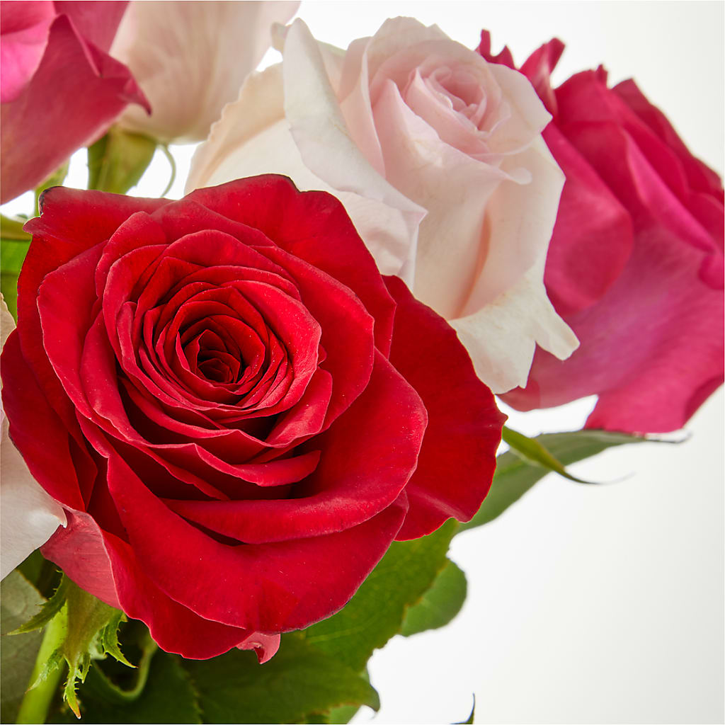 Charming Rose Bouquet –  Flowerland, Sioux City IA